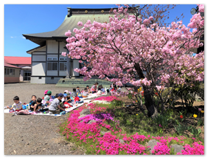 境内お花見